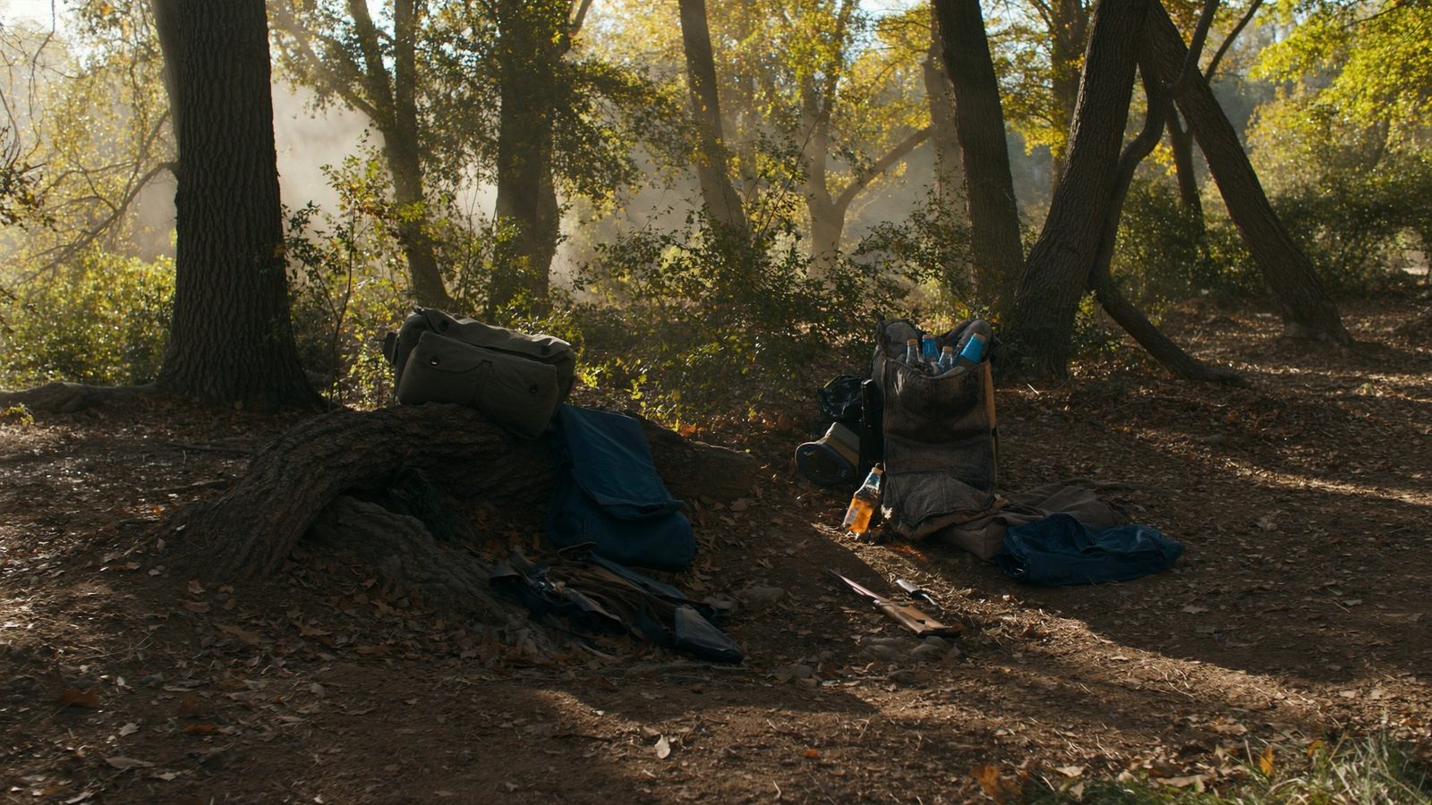 Como hacer trampas para cazar en el bosque