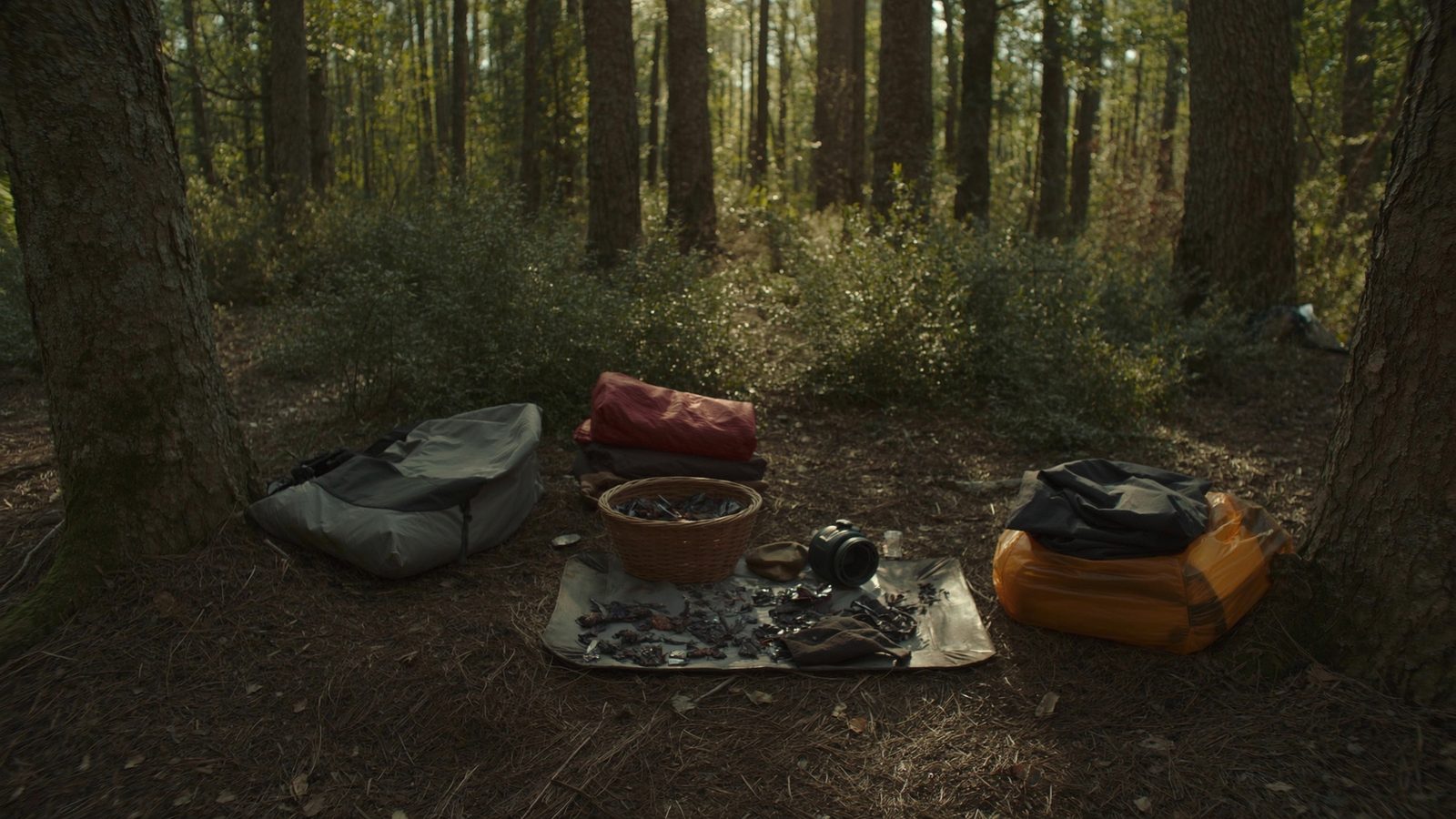 Como prevenir picaduras insectos camping
