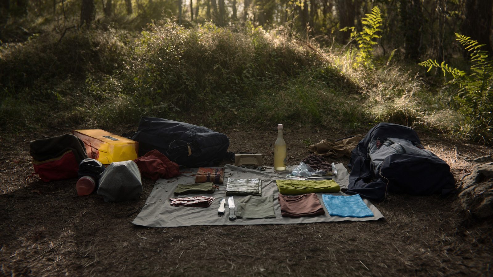 Como sobrevivir en el bosque sin comida