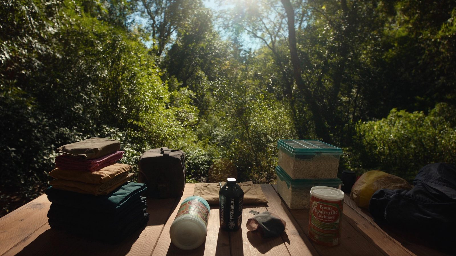 Como sobrevivir en la selva sin viveres