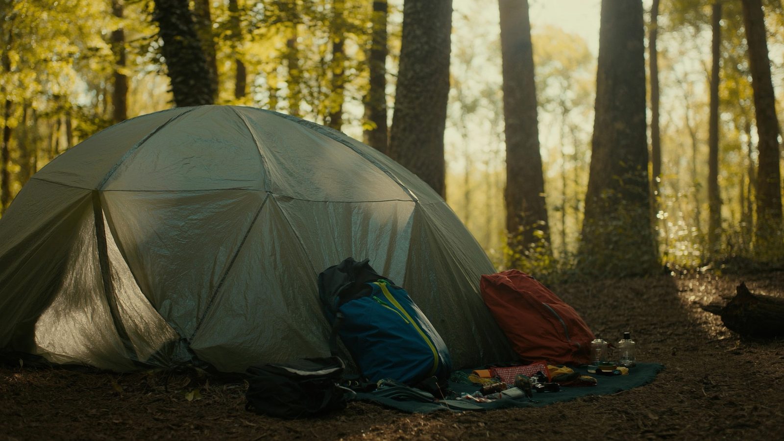 Cual es mejor como construir un refugio en el bosque paso a
