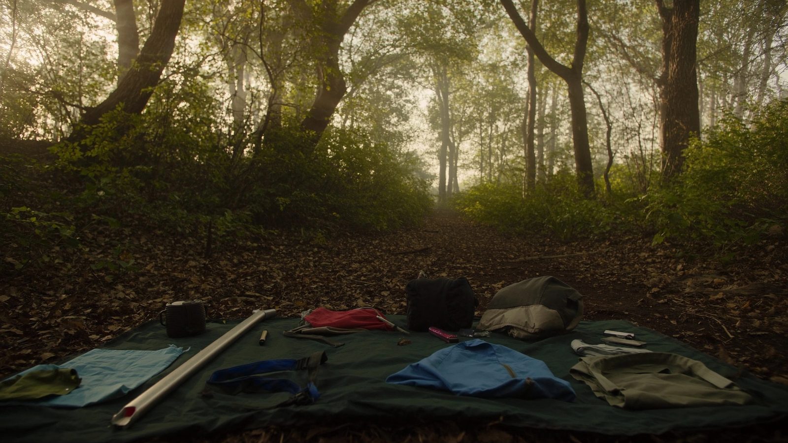 Refugio de vivac tipo lean-to construido con ramas caídas en un bosque