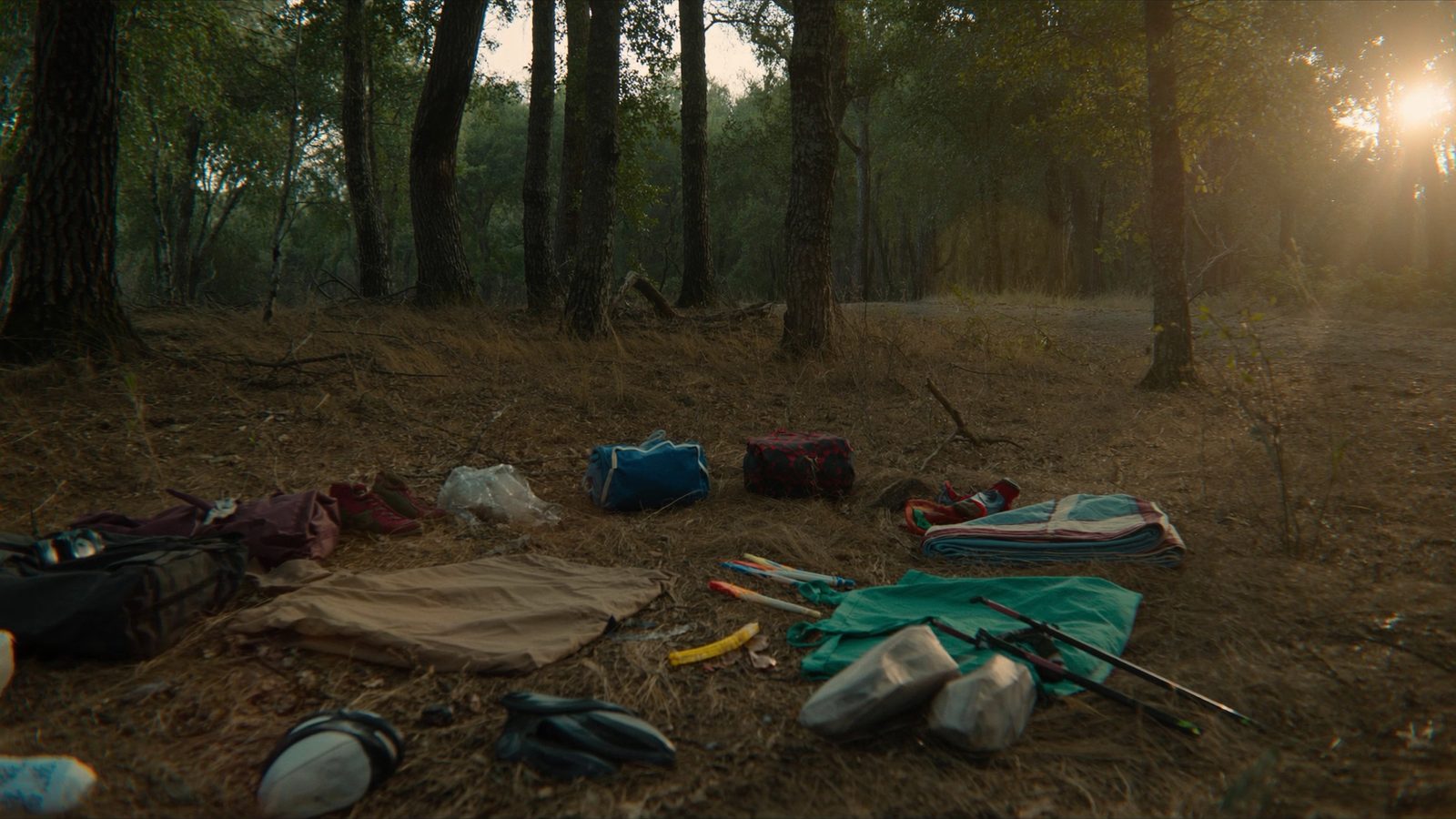 Mejores sitios practicar bushcraft espana