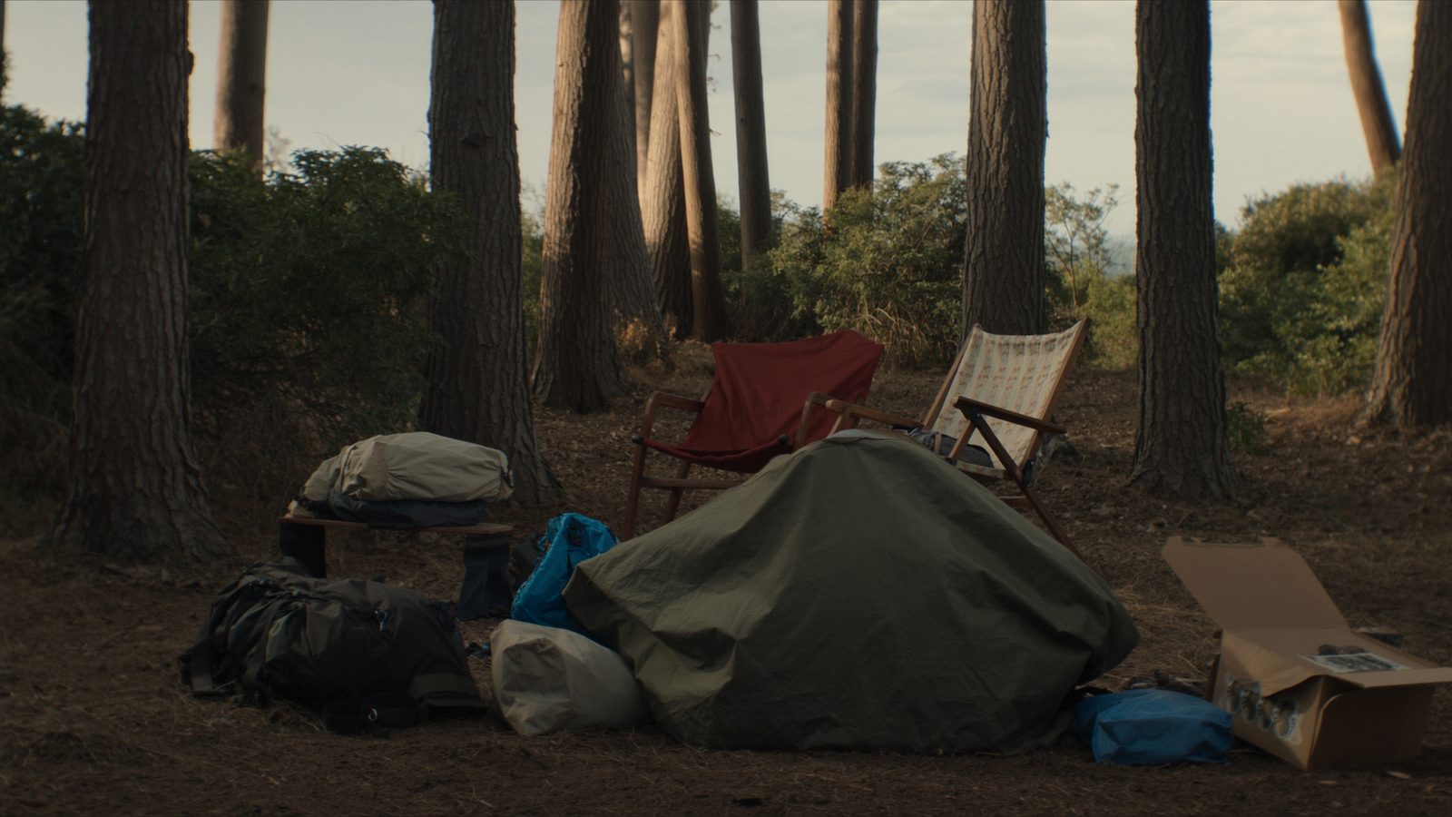Online acampada