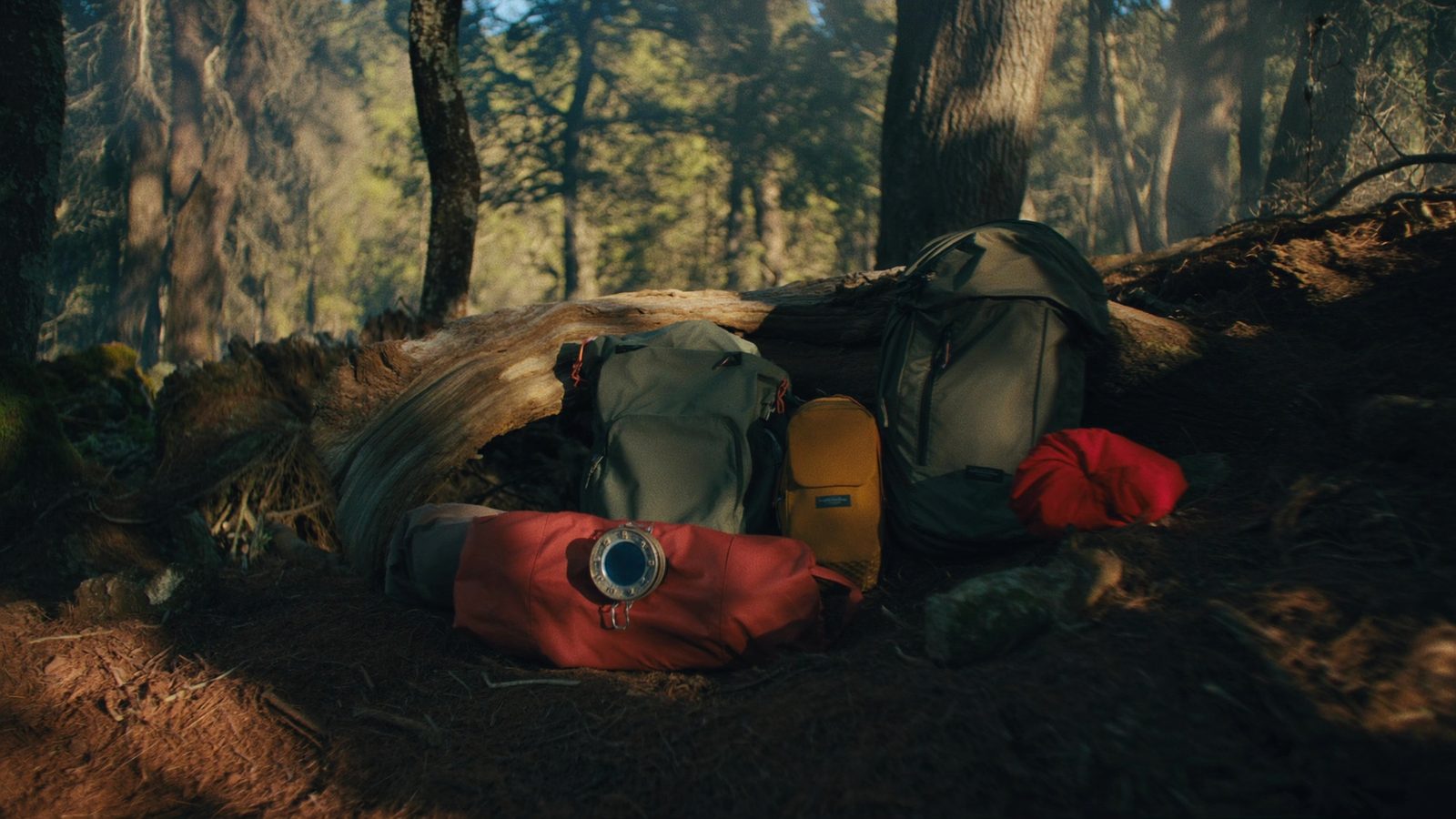 Que es el survivalismo y sus principios