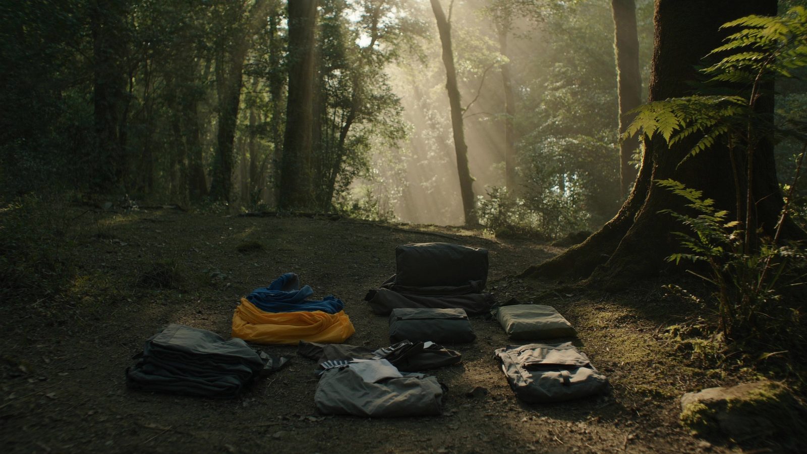 Que hacer en caso de perdida en el bosque