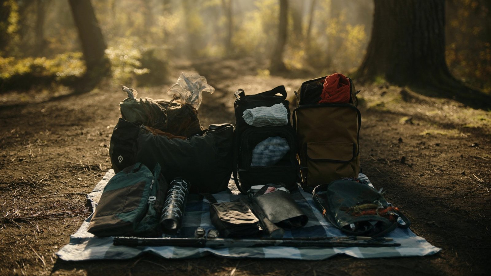 Mochilas y equipo de acampada extendidos sobre una manta en un bosque